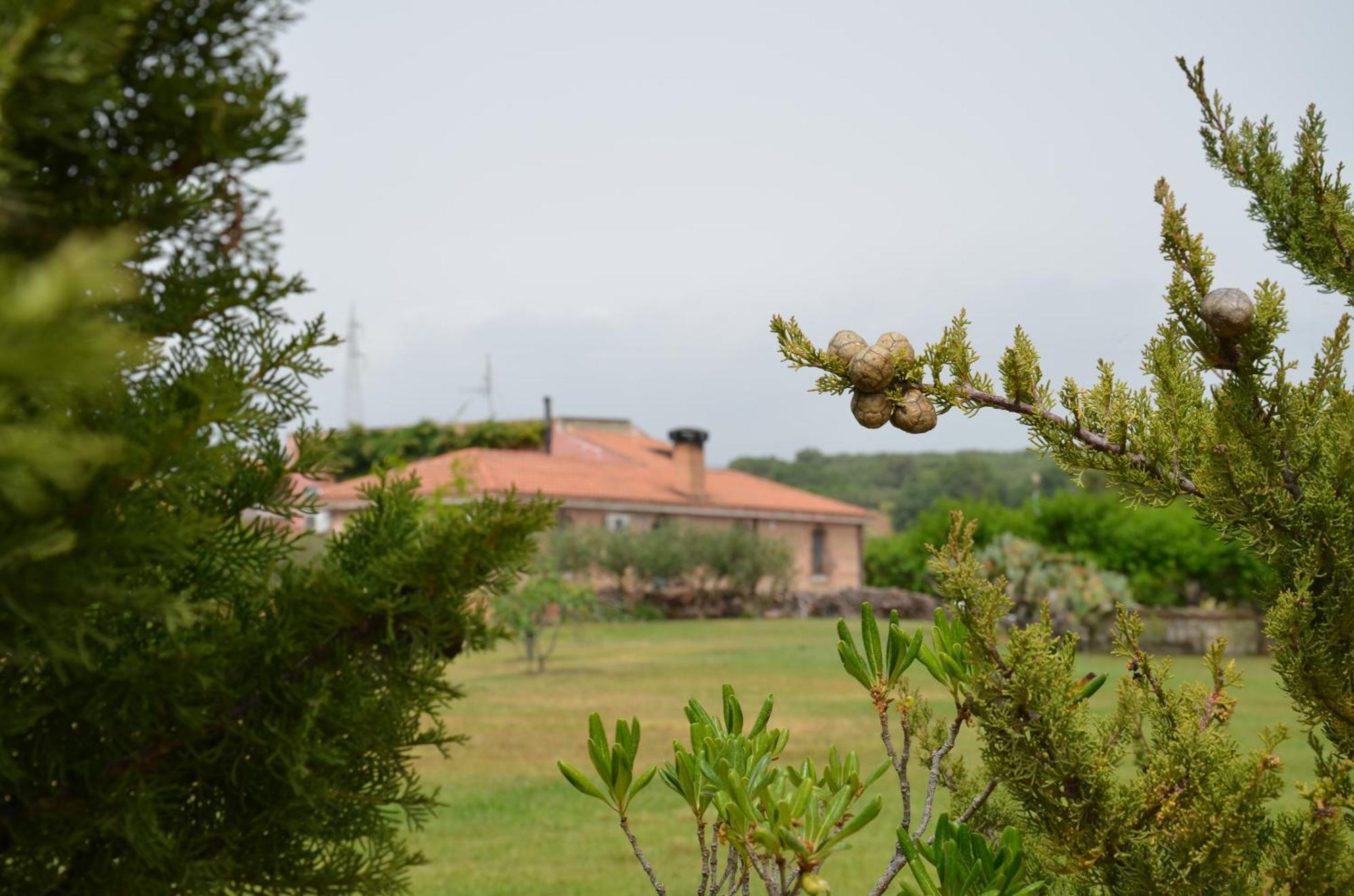 Bed and Breakfast Borgo Piazza Catanzaro Zimmer foto